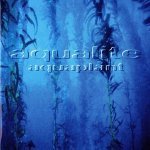 Aqualite - Wavemaker