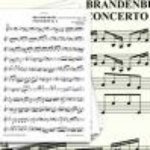 Karel Brazda & Philharmonia Slavonica - Brandenburg Concerto No. 6 In B-Flat Major, BWV I. Allegro