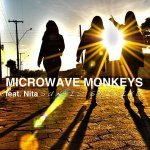 Microwave Monkeys feat. Nita - Sun Is Shining (Original Mix)