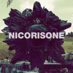 Nicorisone - City Sleeps