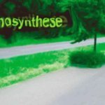 Phonosynthese - Kellerbiene