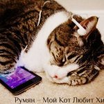 Румян - Мой кот слушает хип хоп