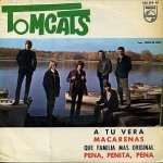 Tomcats - Rock This Town